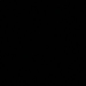 Meet your Posher, Shaneya